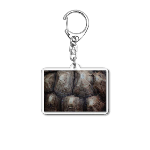 甲羅 Acrylic Key Chain