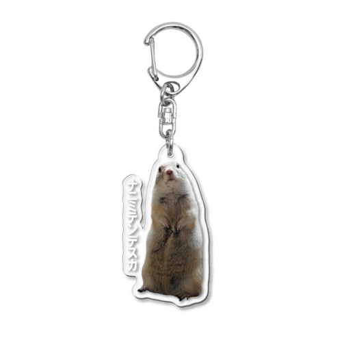 リチャードソンジリス の こたろう Acrylic Key Chain
