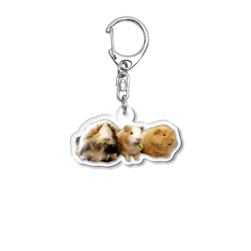 3 GUINEA PIG Acrylic Key Chain