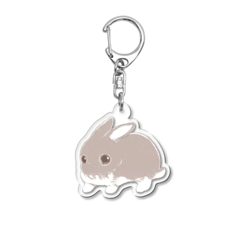 ちっこいころ Acrylic Key Chain