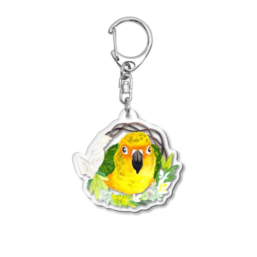 000 コガネメキシコインコリース Acrylic Key Chain