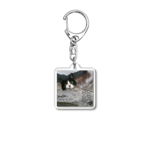 山から覗く大きな猫 Acrylic Key Chain