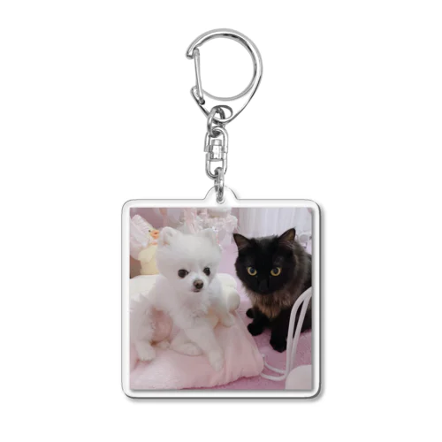 ひとんちのいぬとねこ Acrylic Key Chain