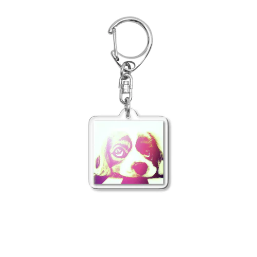 イヌ Acrylic Key Chain