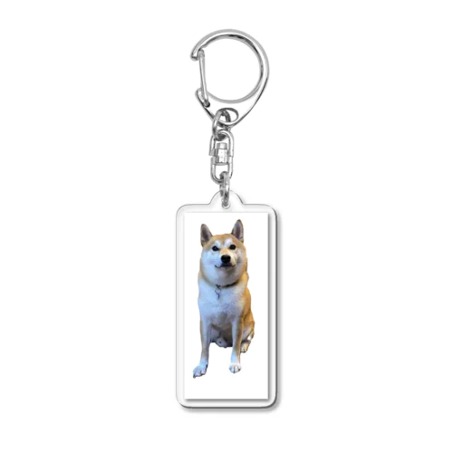 柴犬の五郎 Acrylic Key Chain