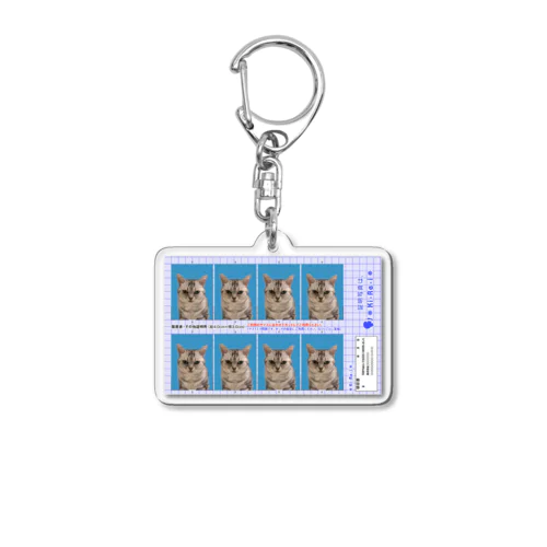 飼い猫の証明写真 Acrylic Key Chain