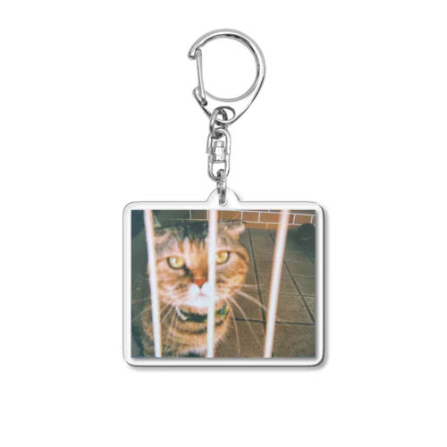 写るんです　まろん Acrylic Key Chain