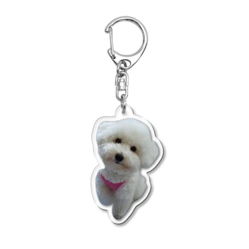 犬のキーホルダー Acrylic Key Chain