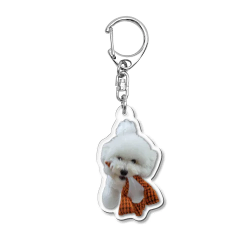 犬のキーホルダー Acrylic Key Chain