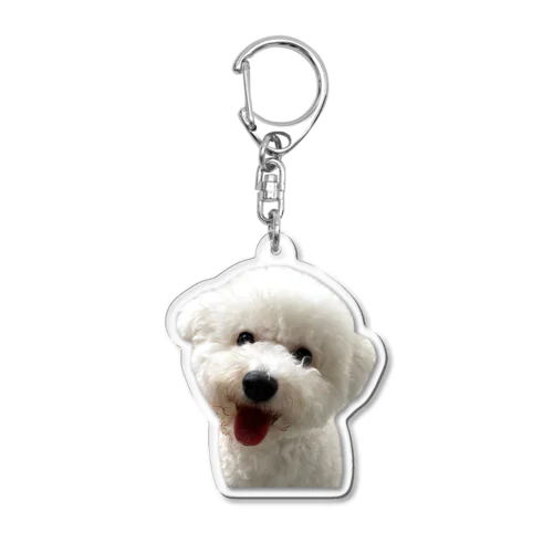 犬のキーホルダー Acrylic Key Chain