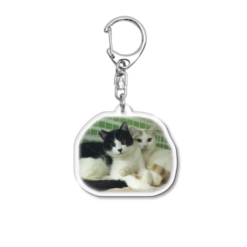 みいたくんとみいとくん Acrylic Key Chain