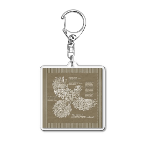 Wild plants of HOTOKENUMA-wetlands（白線） Acrylic Key Chain