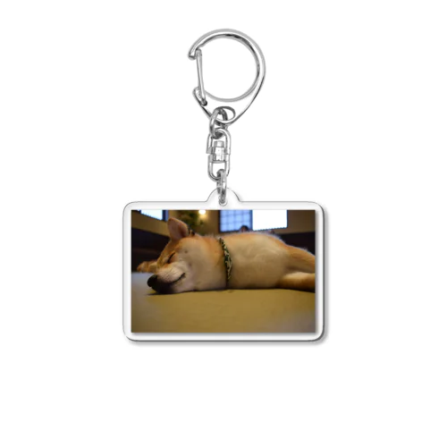 柴犬 Acrylic Key Chain