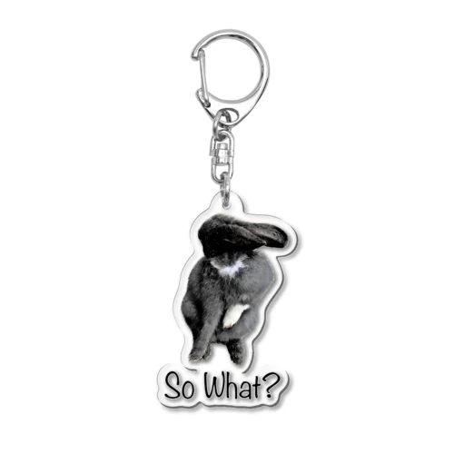 So What? Acrylic Key Chain