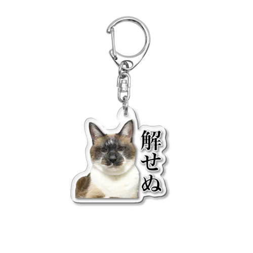 解せぬ Acrylic Key Chain