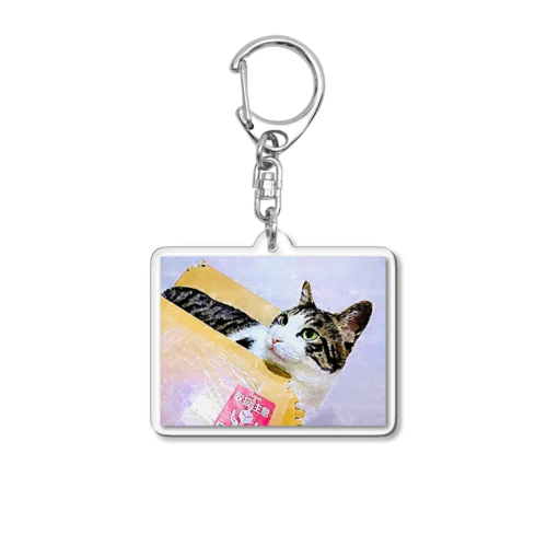 ふくにゃんアクリルキーホルダー Acrylic Key Chain