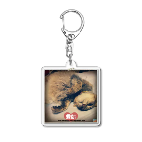 dots with magic hour syndrome 002 Acrylic Key Chain
