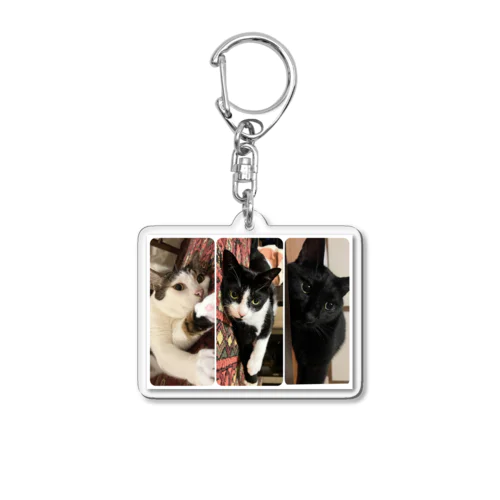 manmaruden Acrylic Key Chain