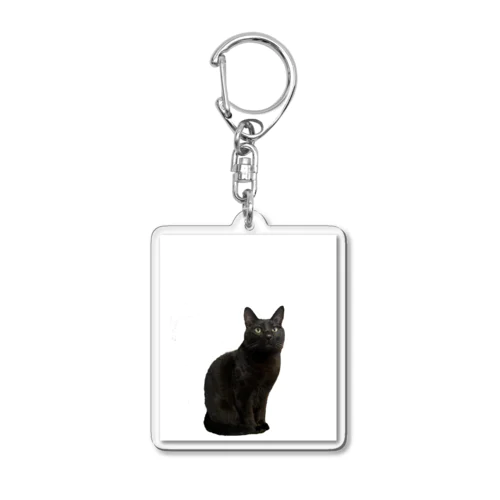 manmaruden Acrylic Key Chain