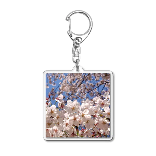 いつでもどこでも桜爛漫 Acrylic Key Chain