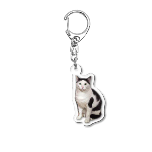 ヅラにゃんこ Acrylic Key Chain