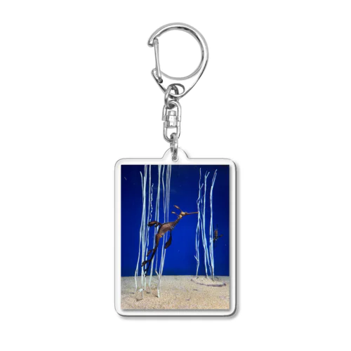 ウィーディ·シードラゴン Acrylic Key Chain