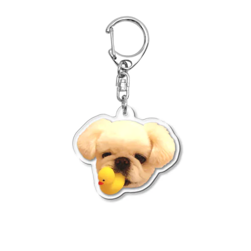 ドヤ犬（文字なし） Acrylic Key Chain