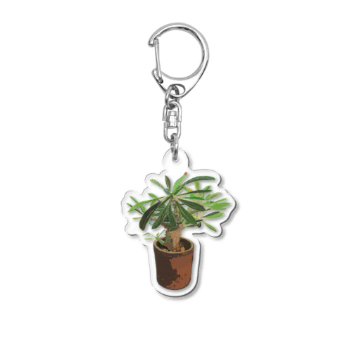 Pachypodium densiflorum Acrylic Key Chain