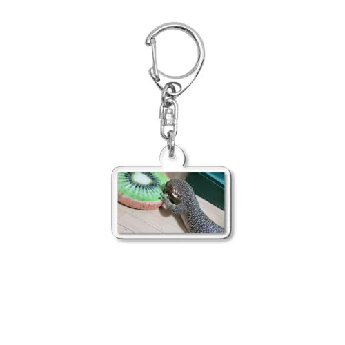 おミズぐっず(マングローブモニター) Acrylic Key Chain