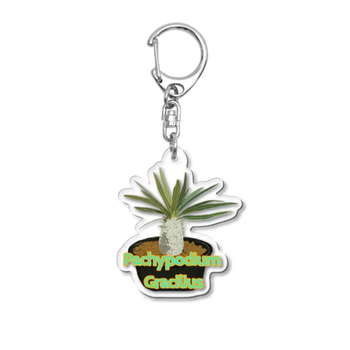 Pachypodium Gracilius Acrylic Key Chain