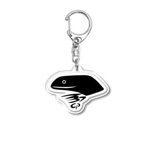 37 Dinosaur Acrylic Key Chain