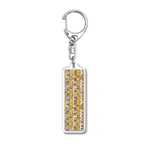 D Acrylic Key Chain