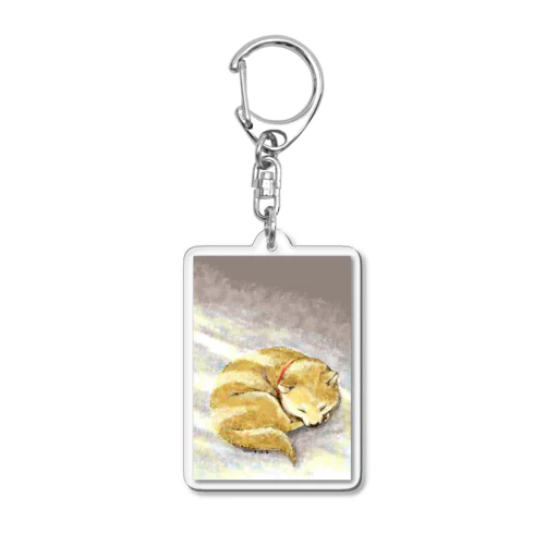 陽だまりの柴犬 Acrylic Key Chain