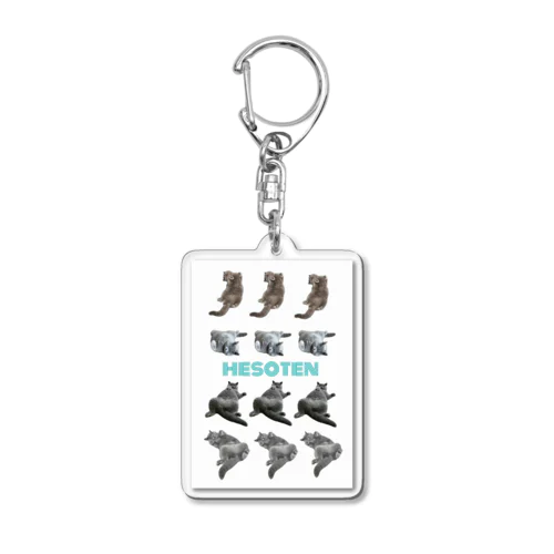 hesoten Acrylic Key Chain