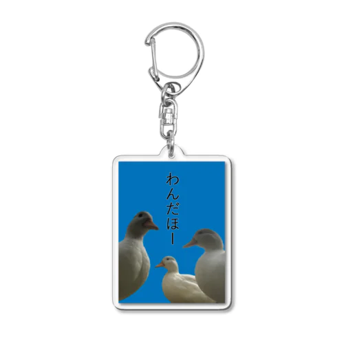 あひる3兄弟 Acrylic Key Chain