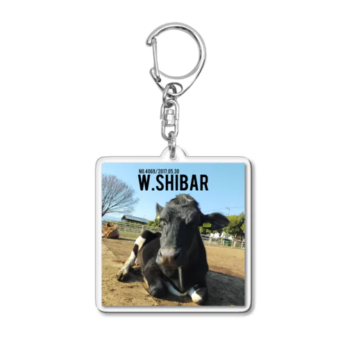 W.SHIBAR Acrylic Key Chain