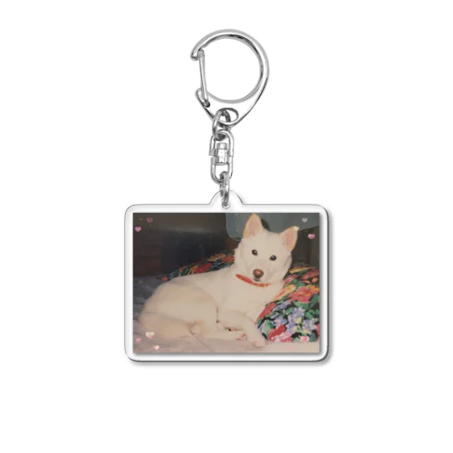 リョク君 Acrylic Key Chain