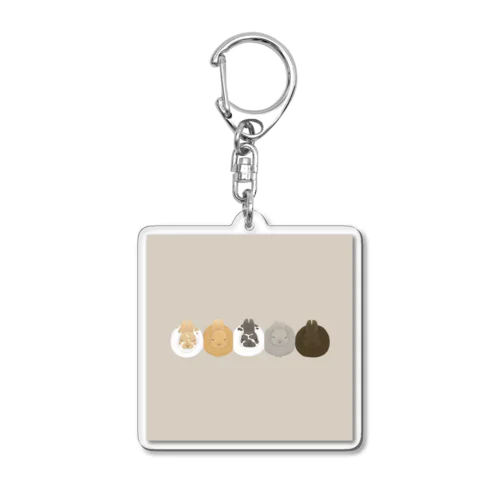 usamochi Acrylic Key Chain