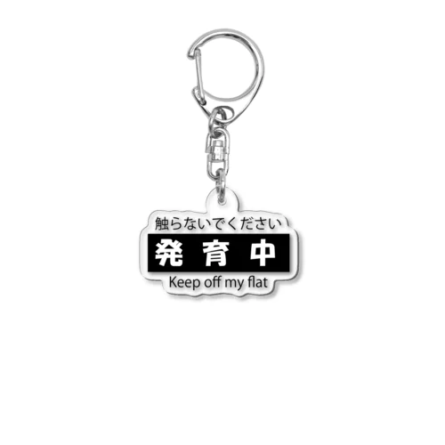 発育中 Acrylic Key Chain