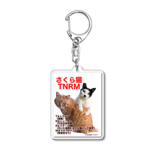 さくら猫チャンミーとココロ Acrylic Key Chain