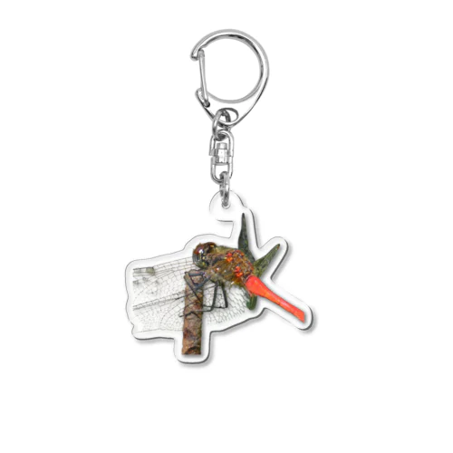 アキアカネグッズ Acrylic Key Chain
