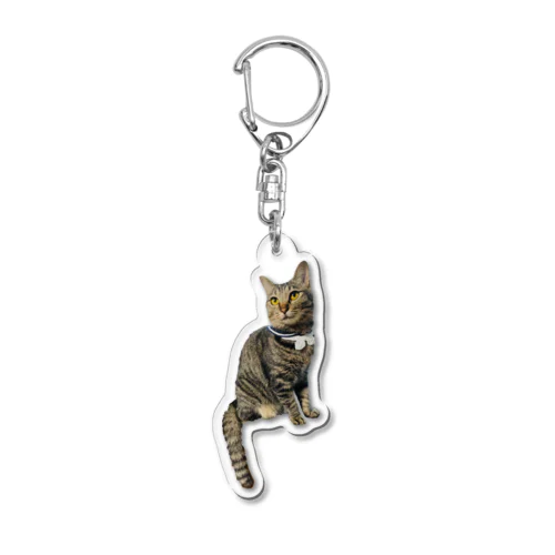 四葉さんちのねこのひと Acrylic Key Chain