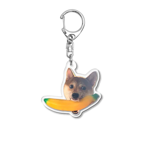 バナナを咥えてる柴犬 Acrylic Key Chain