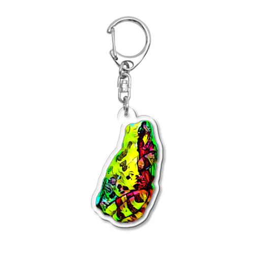 sleeping frog Acrylic Key Chain