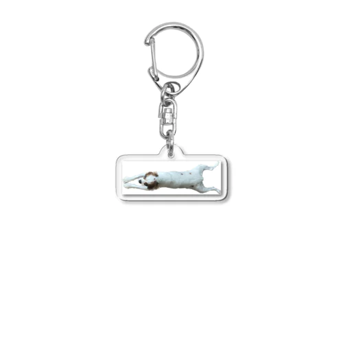 体の長いボブ Acrylic Key Chain