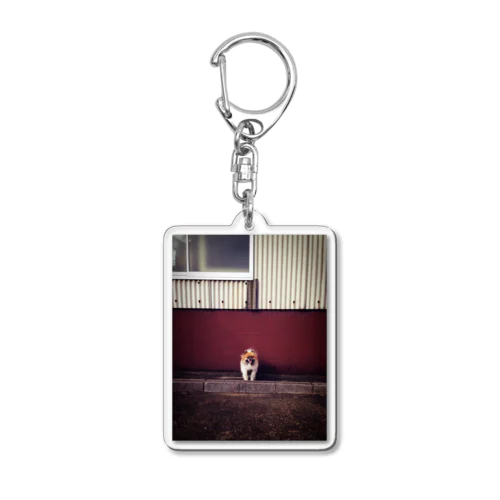 smile Acrylic Key Chain