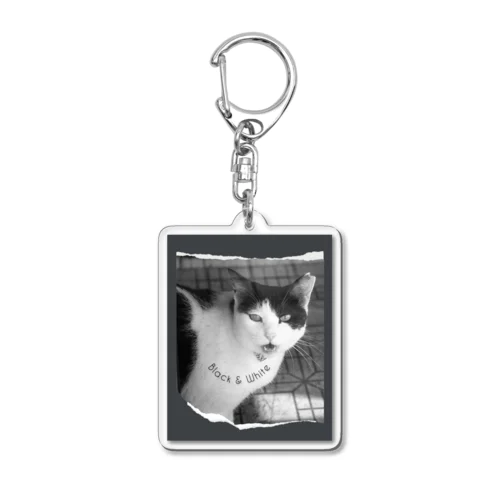 Cat Acrylic Key Chain