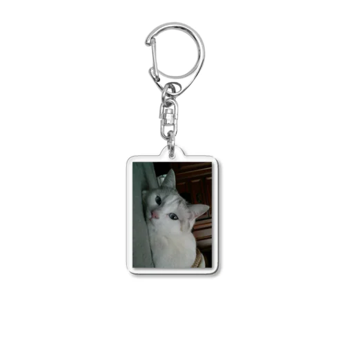 きなほるだー Acrylic Key Chain