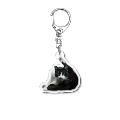 セクシーポーズ猫 Acrylic Key Chain