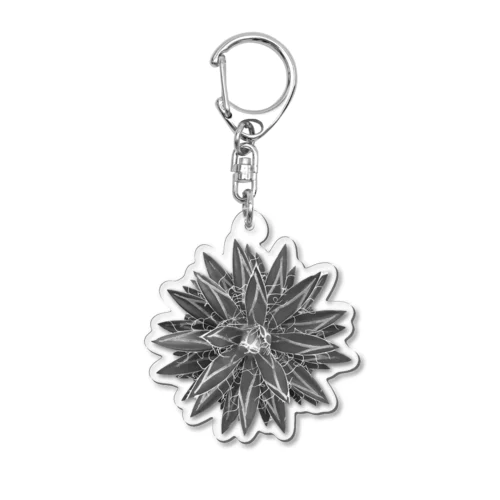 Agave schidigera 'Shira ito no Ohi' Acrylic Key Chain